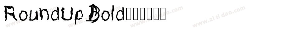 RoundUp Bold字体转换